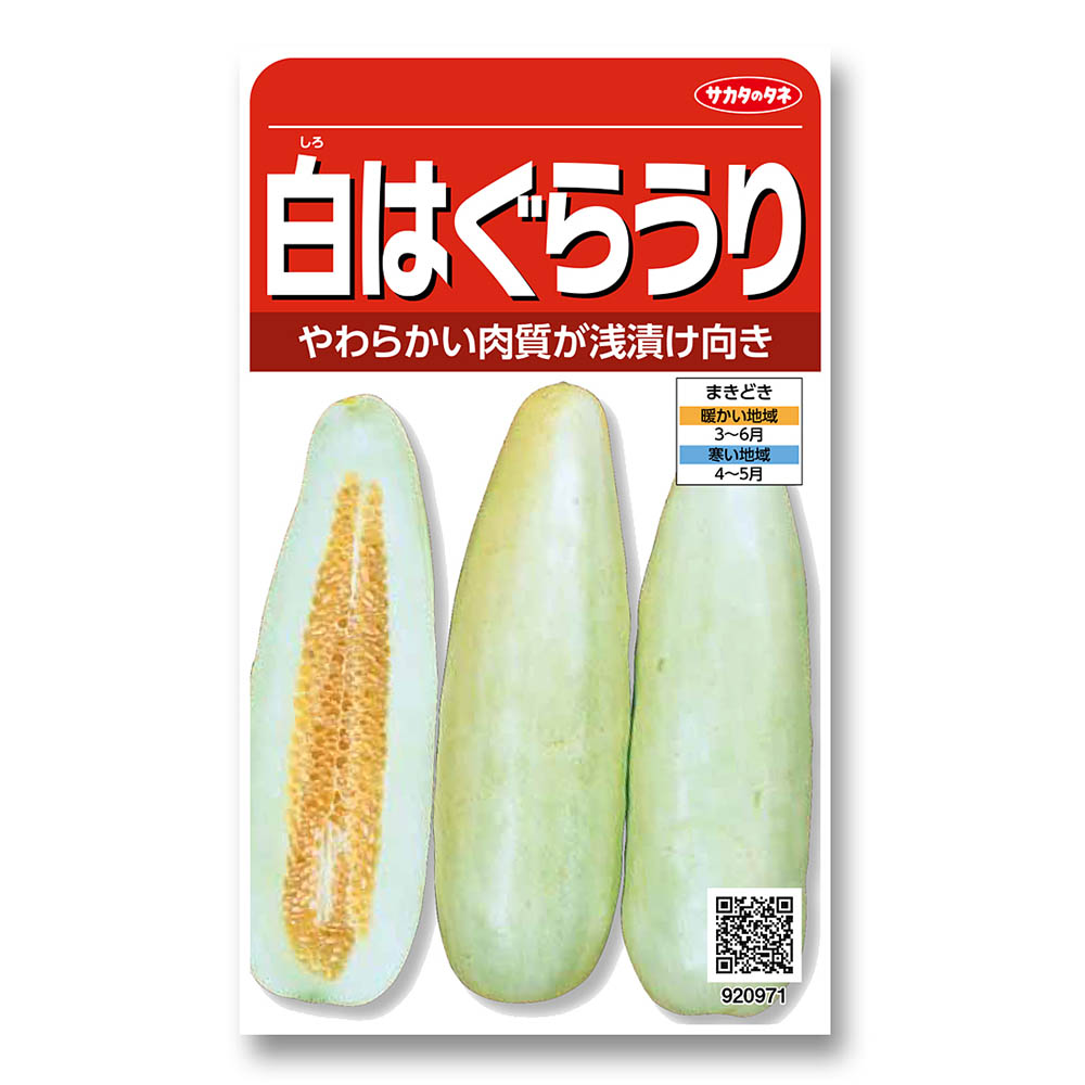 ウリ_白はぐらうり　春まき