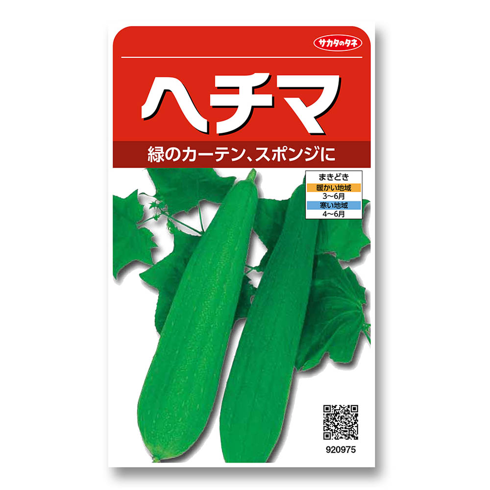 ヘチマ　春まき