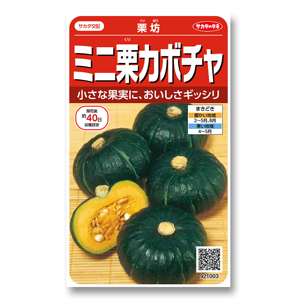 ミニカボチャ_栗坊　春まき
