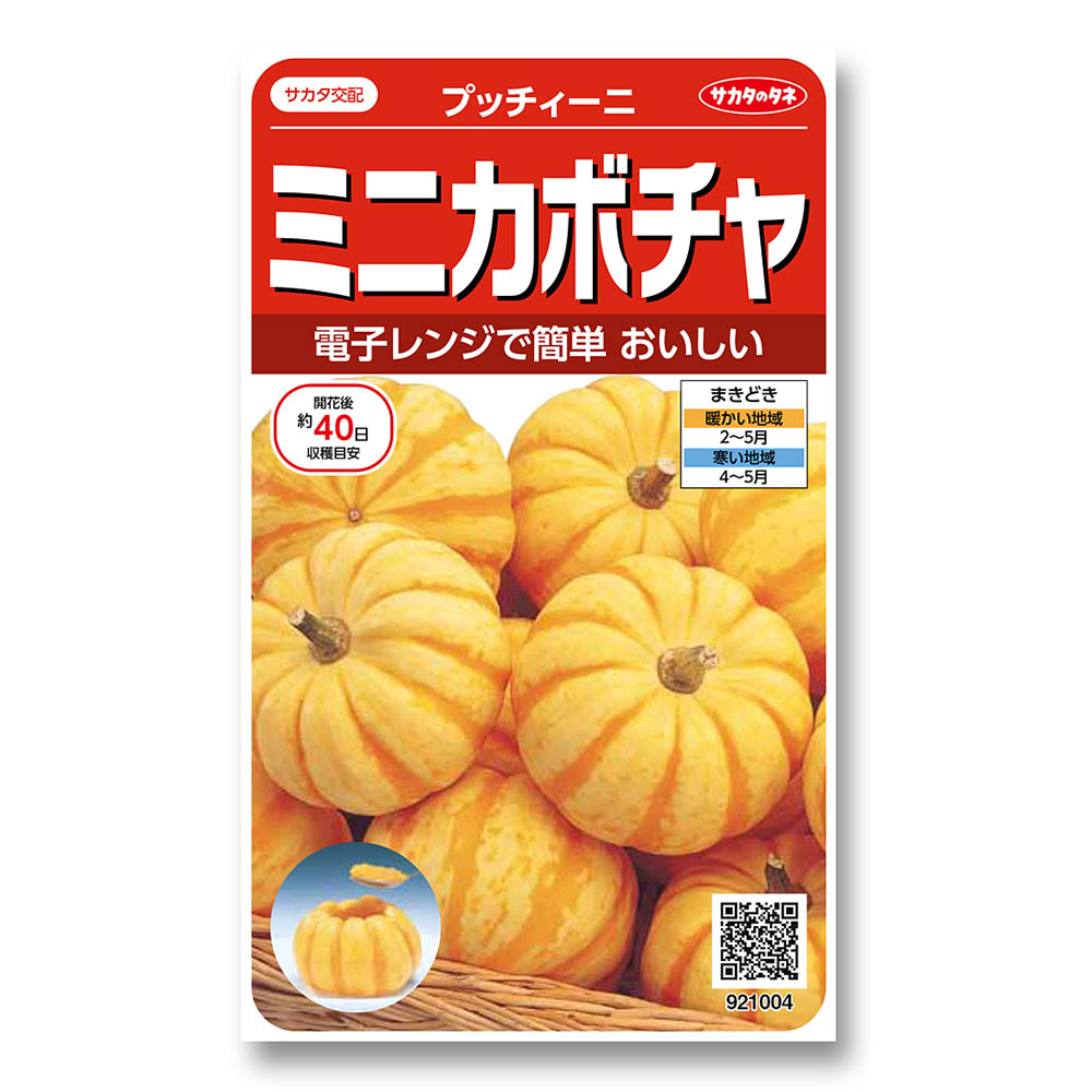 カボチャ_ミニカボチャ プッチィーニ　春まき