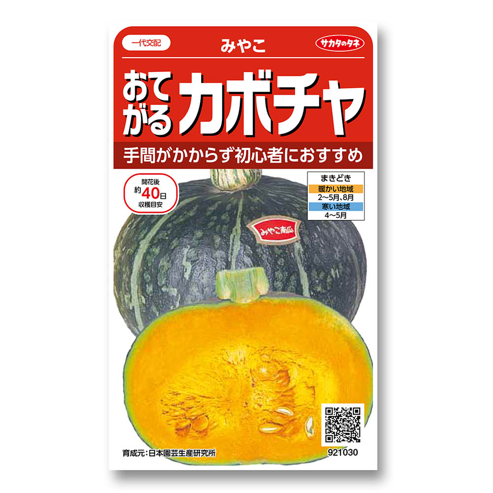 カボチャ_みやこ　春まき