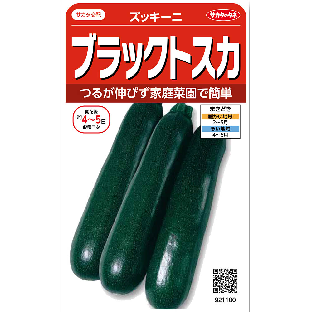 ズッキーニ＿ブラックトスカ | ジョイフル本田 取り寄せ＆店舗受取