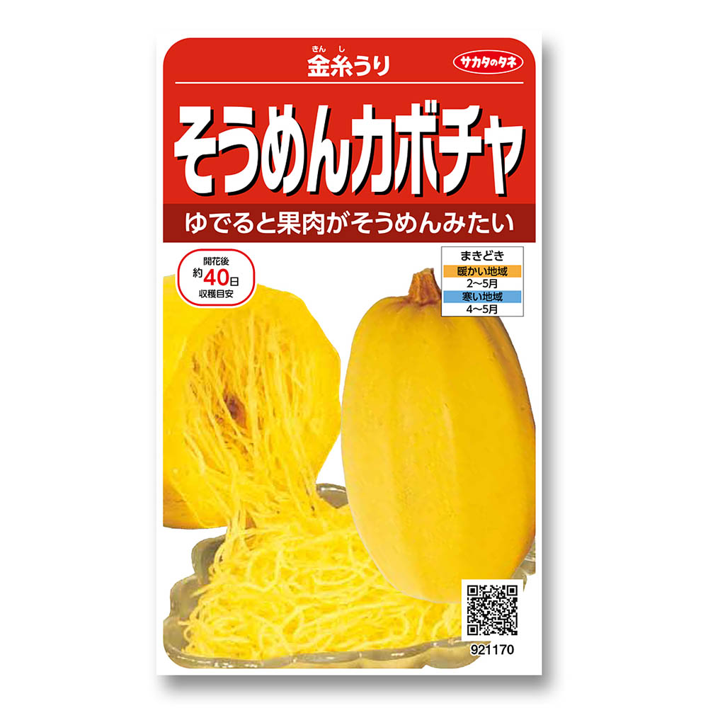 ウリ_金糸うり_そうめんカボチャ　春まき