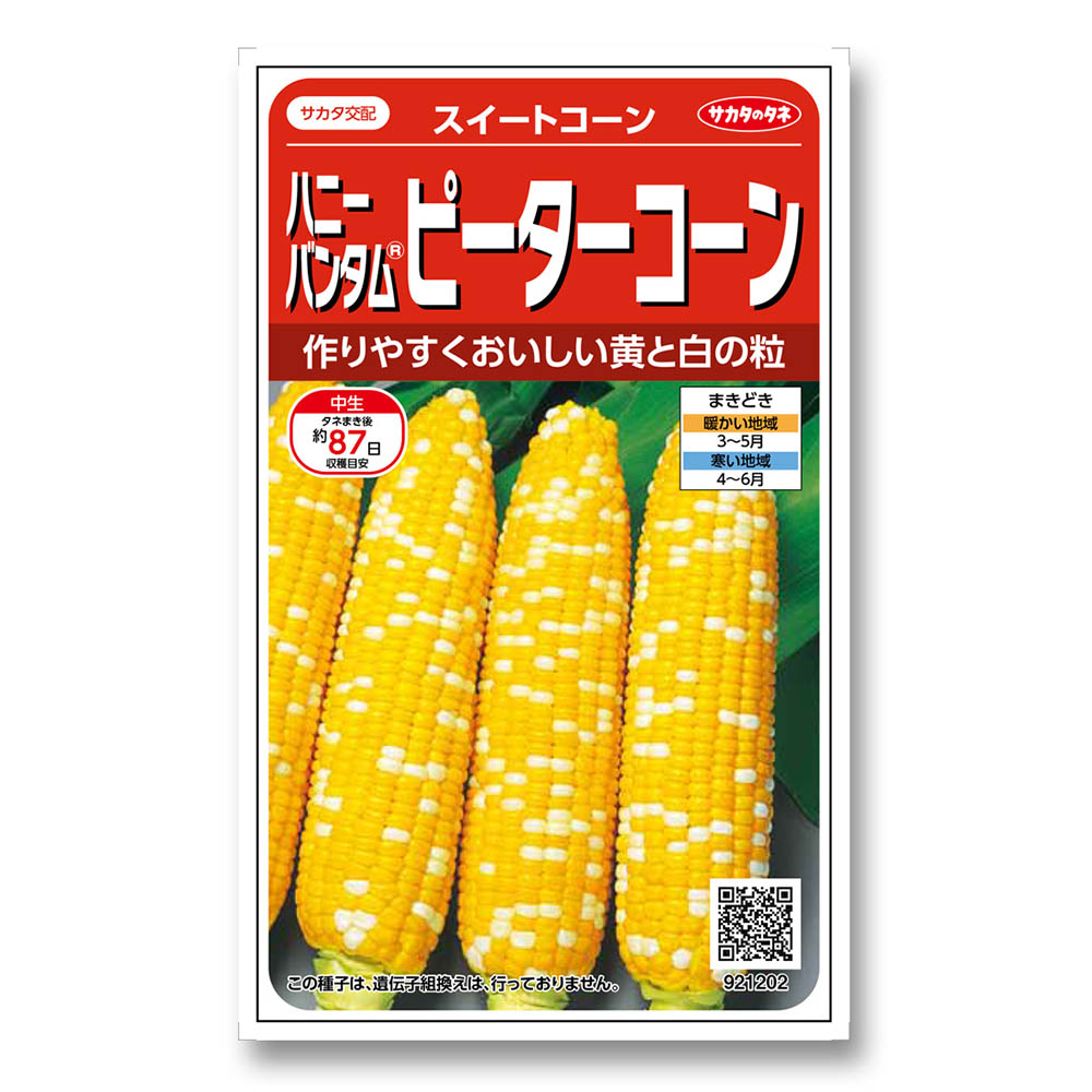 コーン_スイートコーン_ピーターコーン　春まき