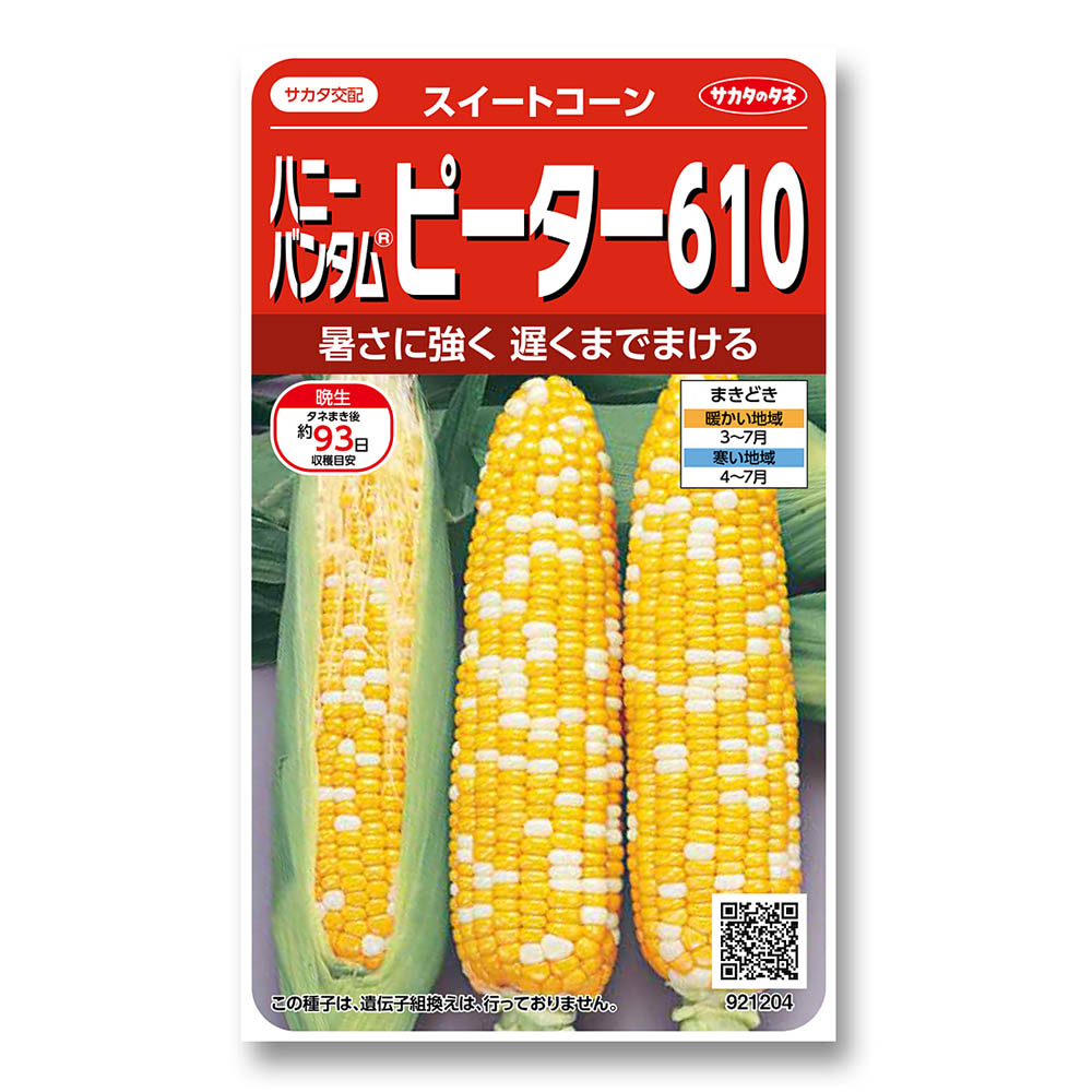 コーン_スイートコーン_ピーター610　春まき