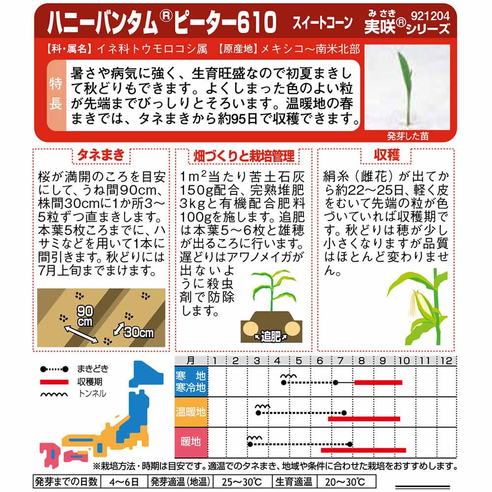 コーン_スイートコーン_ピーター610　春まき