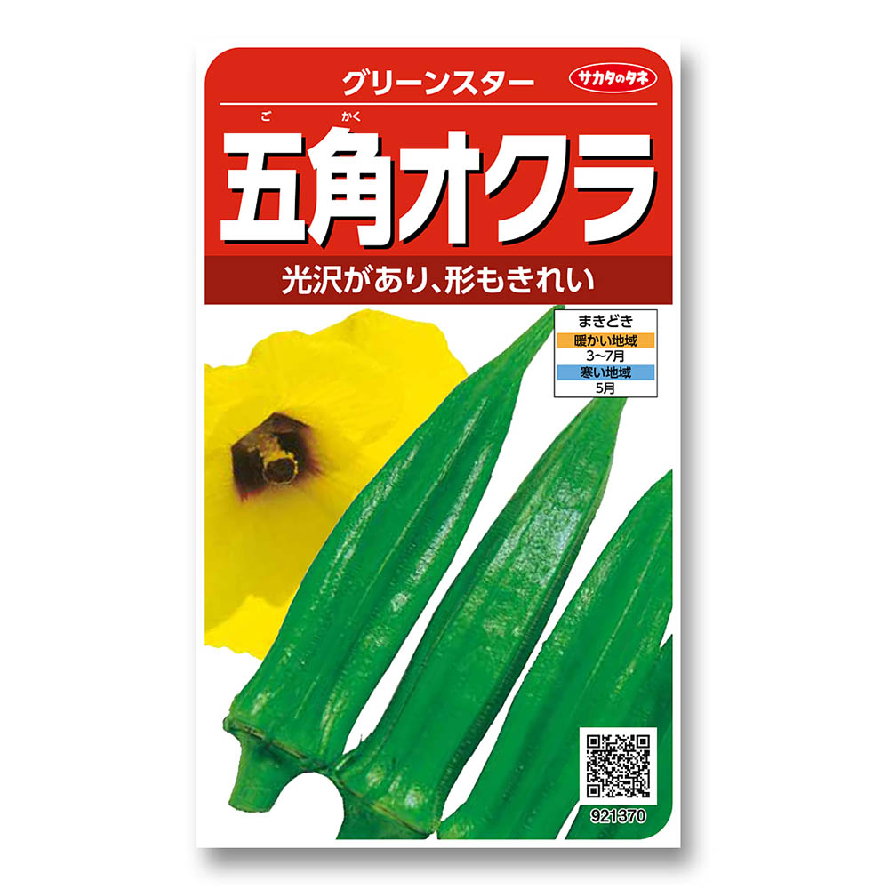 オクラ_グリーンスター　春まき