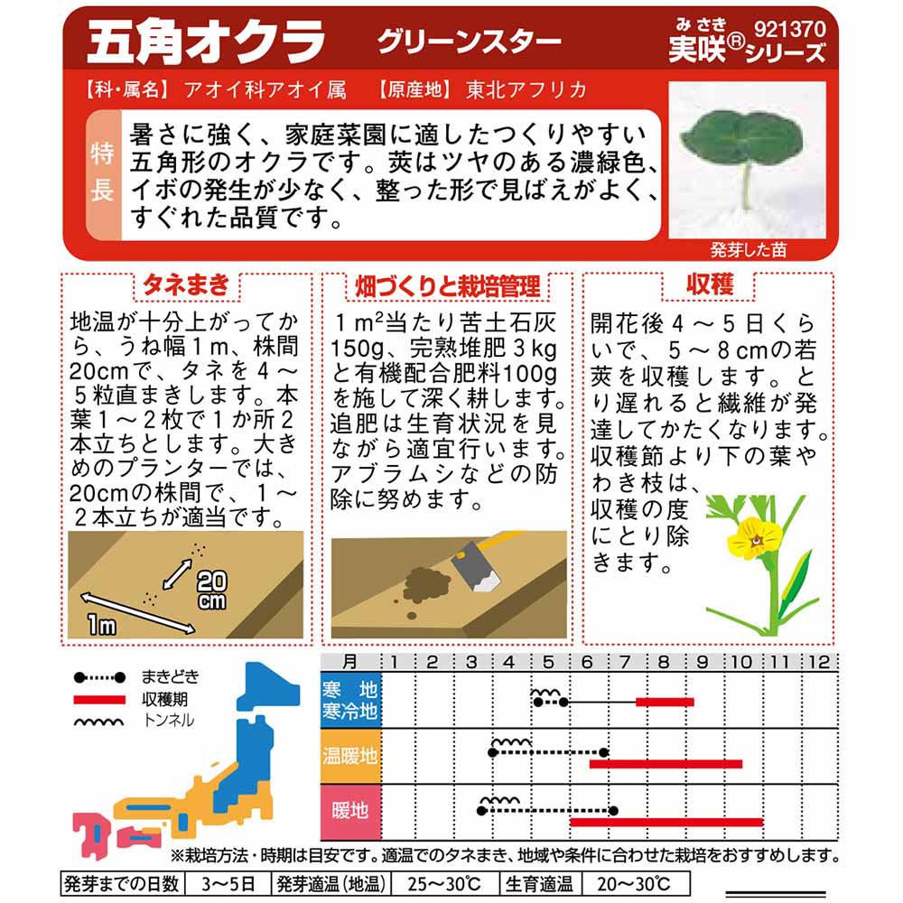 オクラ_グリーンスター　春まき