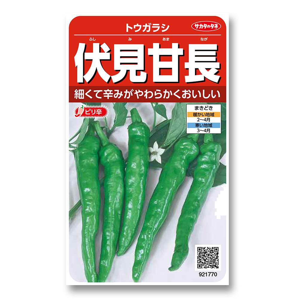 トウガラシ_伏見甘長　春まき