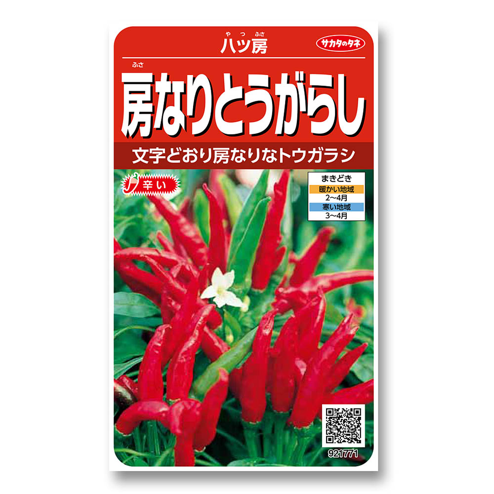 トウガラシ_八ツ房　春まき