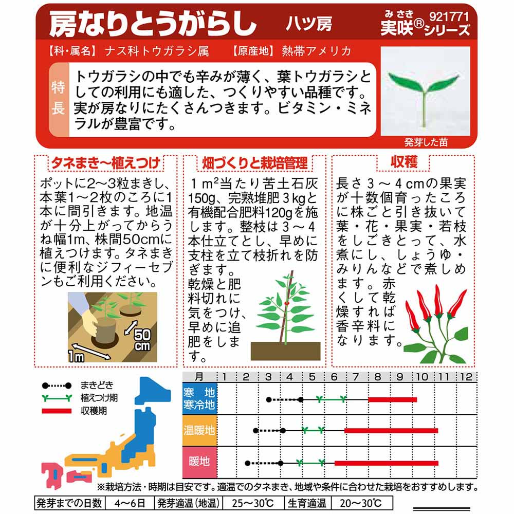 トウガラシ_八ツ房　春まき