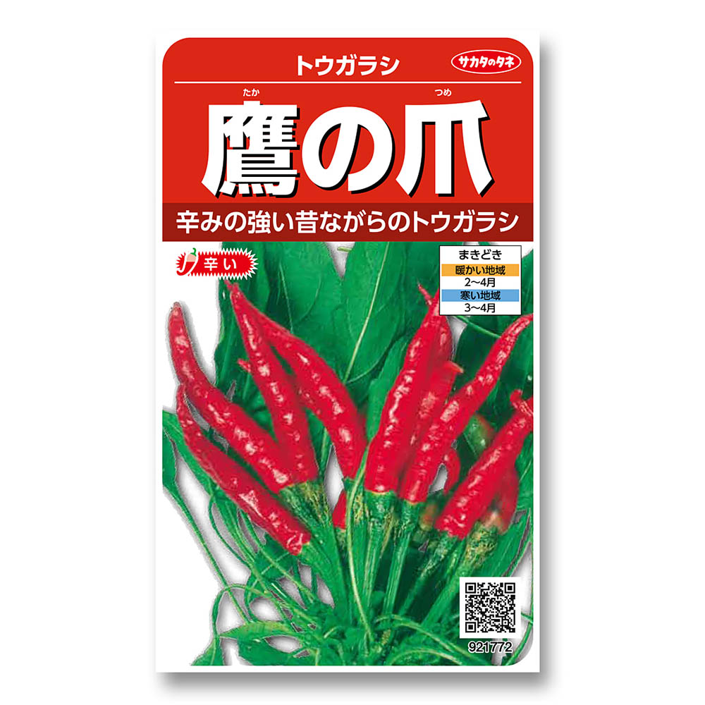 トウガラシ_鷹の爪　春まき