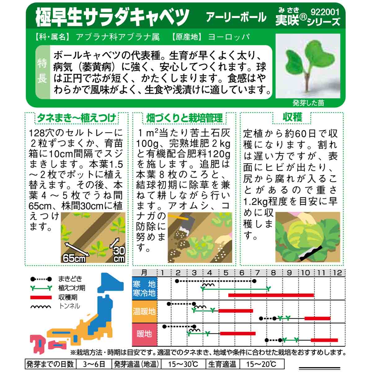 キャベツ_アーリーボール　春秋兼用