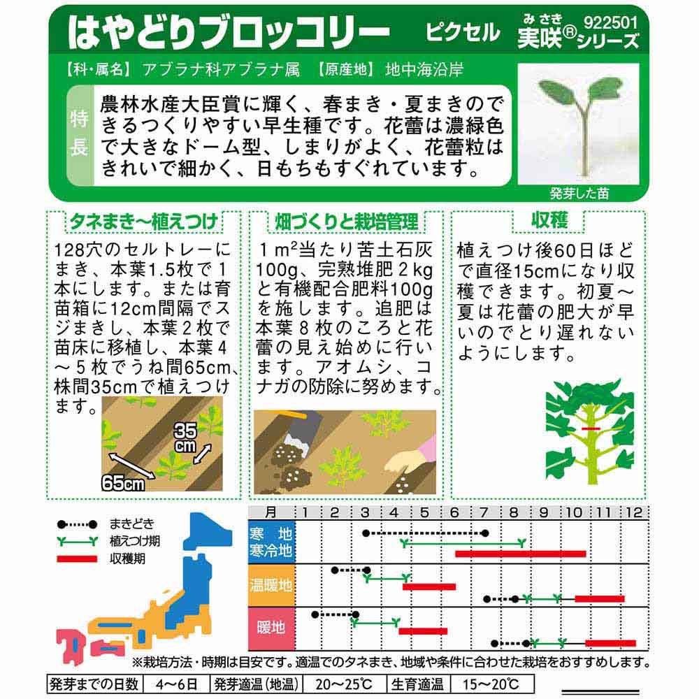 ブロッコリー_ピクセル　春秋兼用