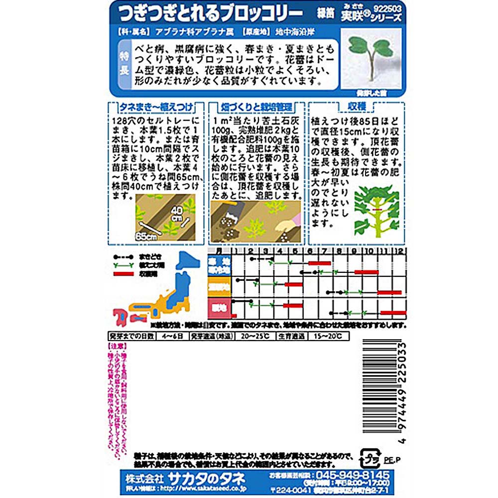 ブロッコリー_緑笛　春秋兼用