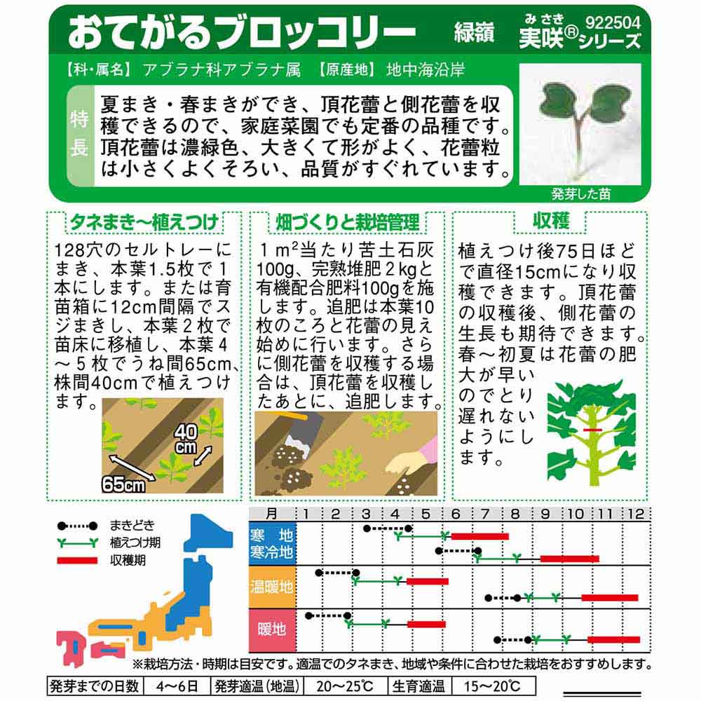 ブロッコリー_緑嶺　春秋兼用