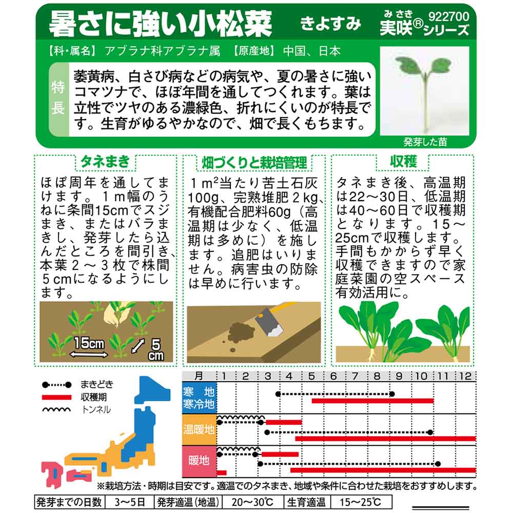 コマツナ_きよすみ　春秋兼用