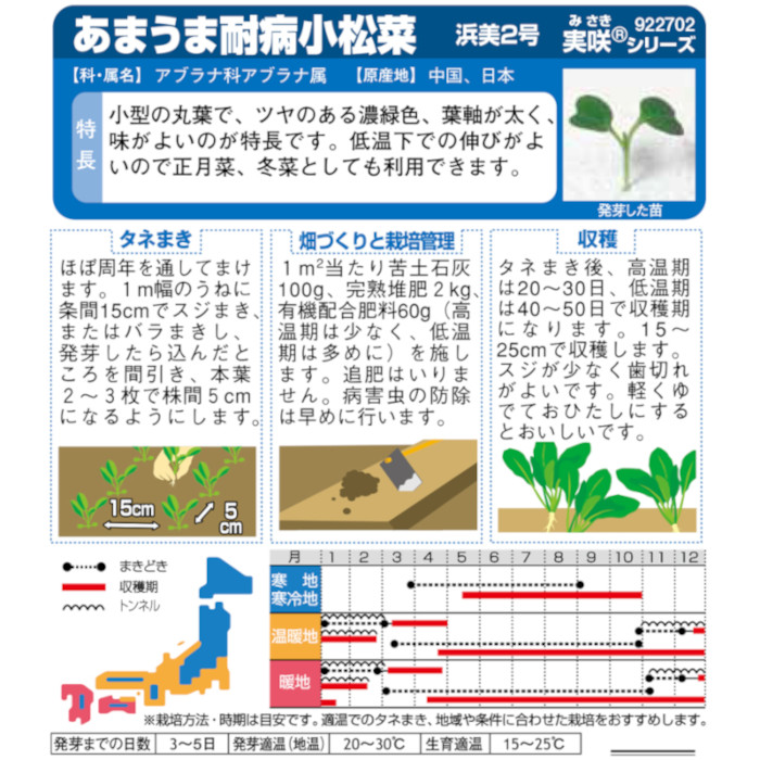 コマツナ_浜美2号