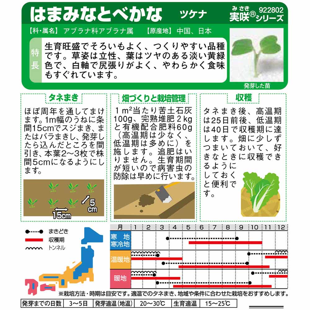 ツケナ_べかな_はまみなと　春秋兼用