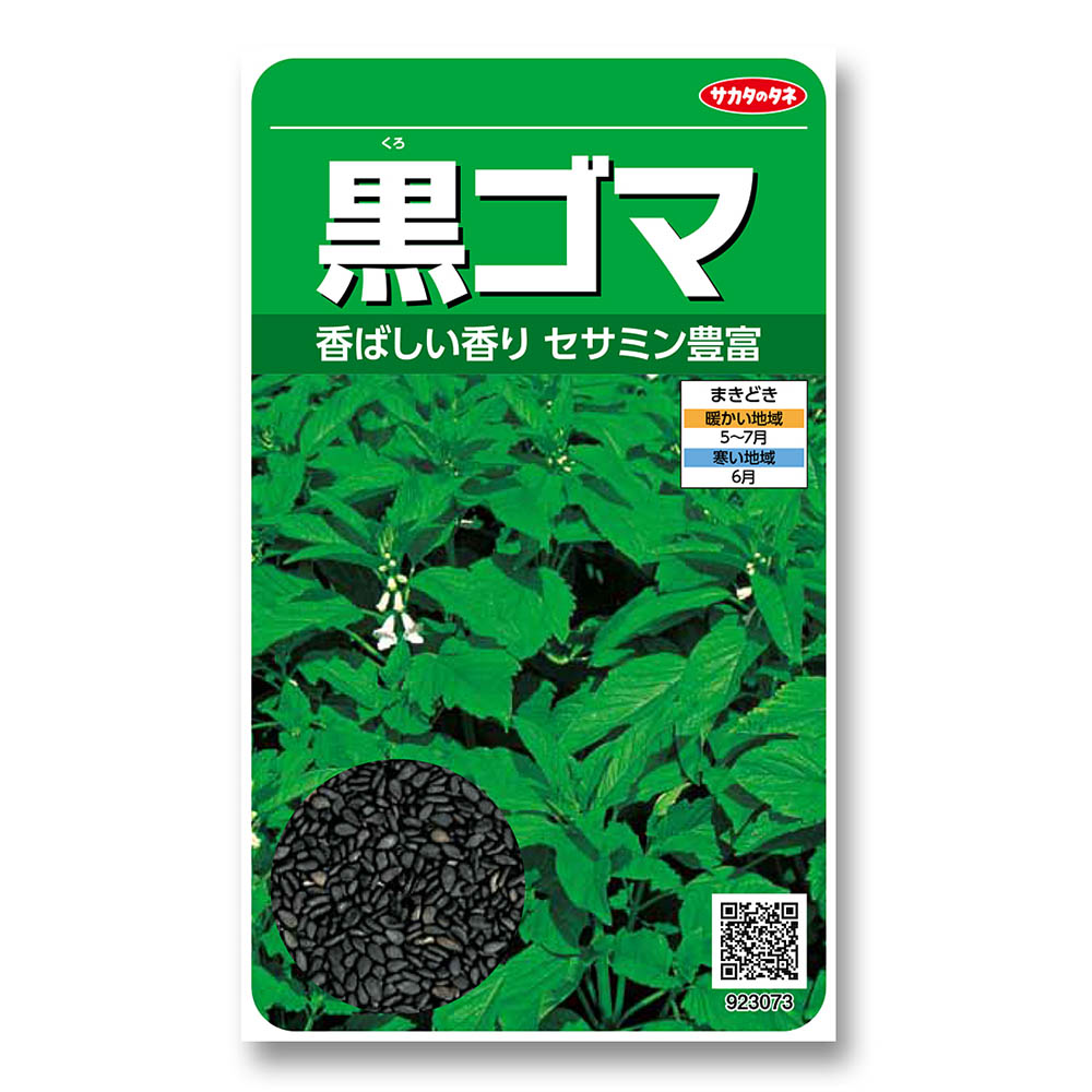 ゴマ_黒ゴマ　春まき