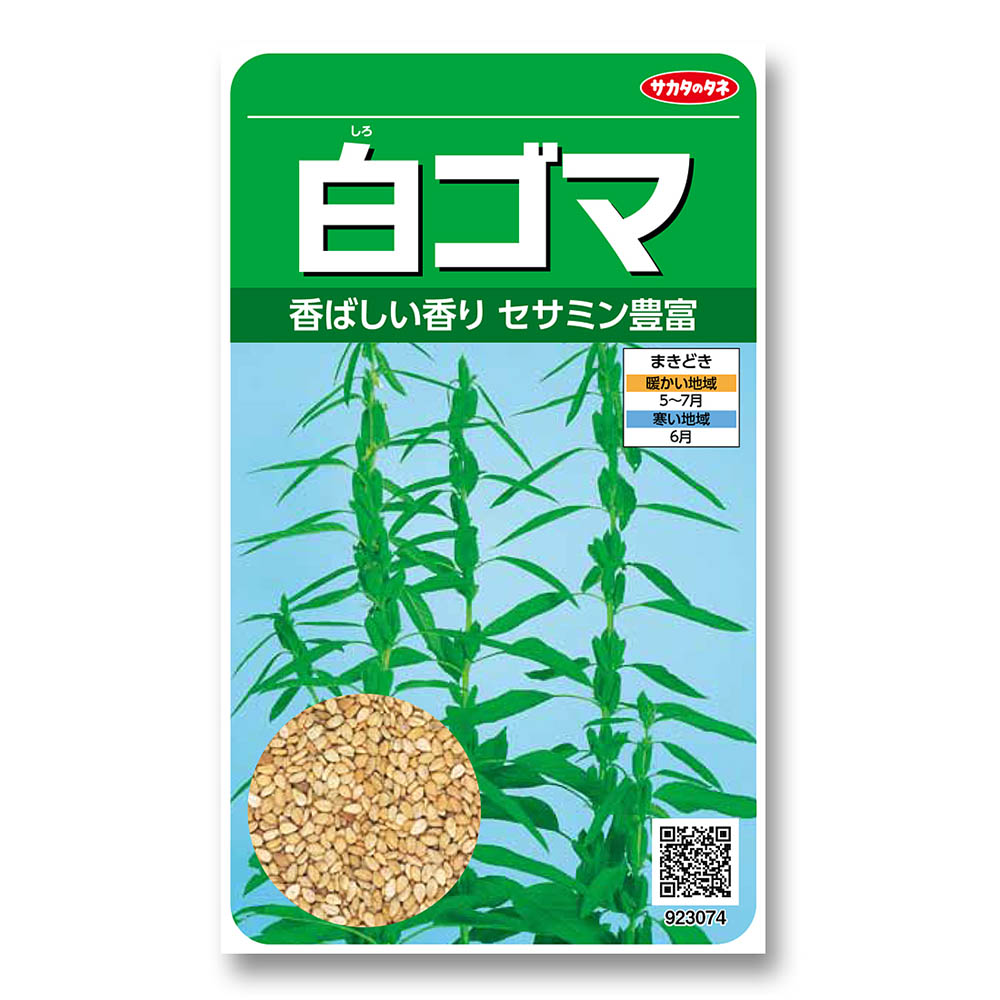 ゴマ_白ゴマ　春まき