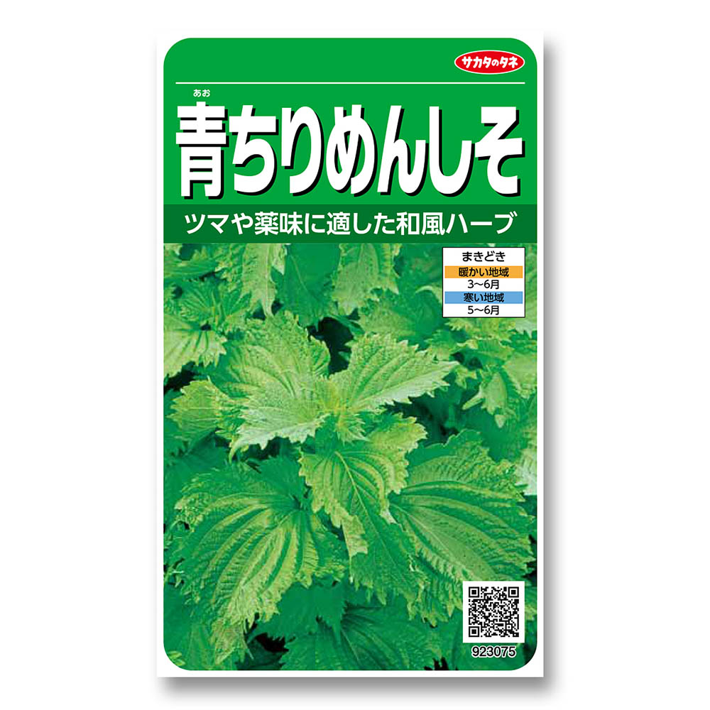 シソ_青ちりめんしそ　春まき