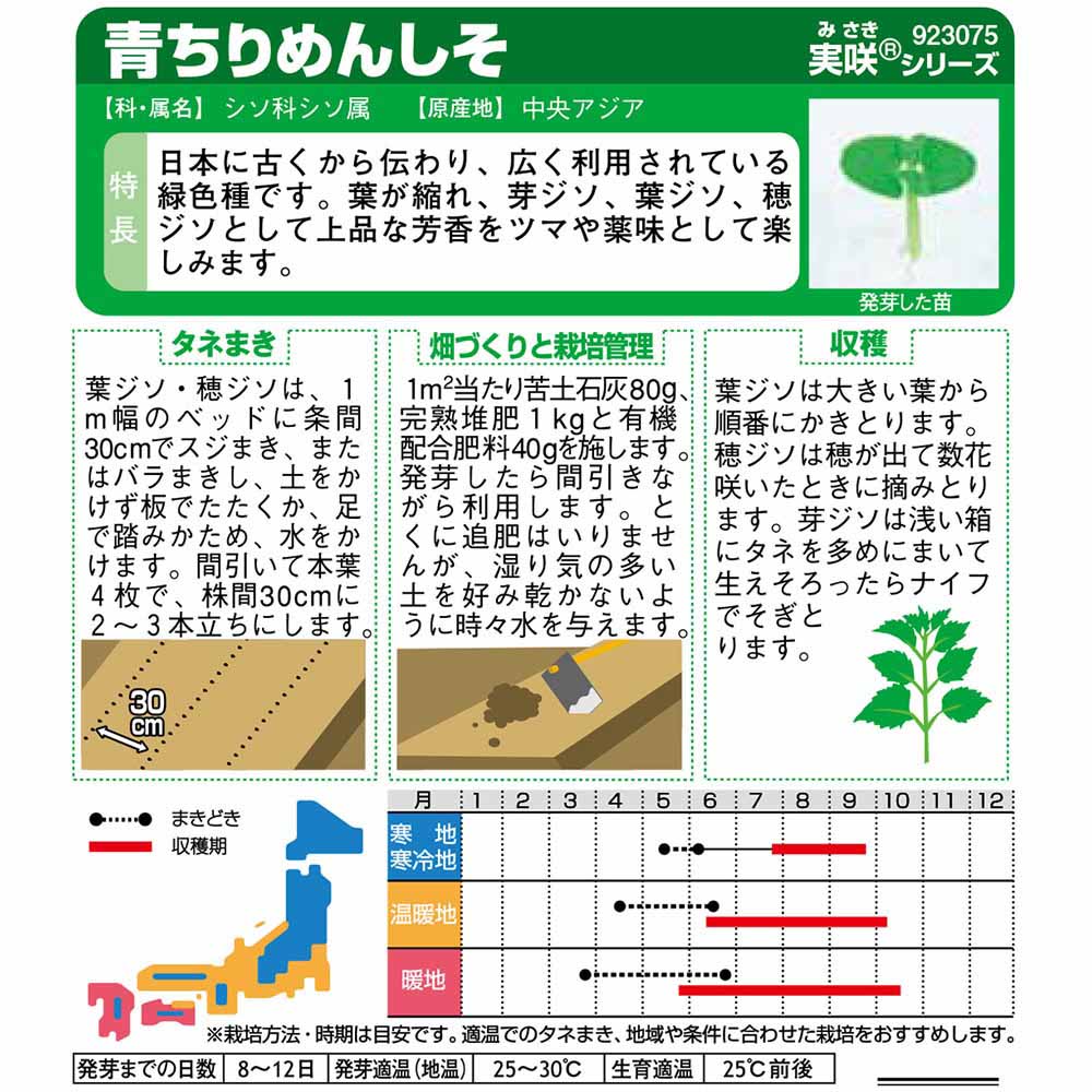 シソ_青ちりめんしそ　春まき