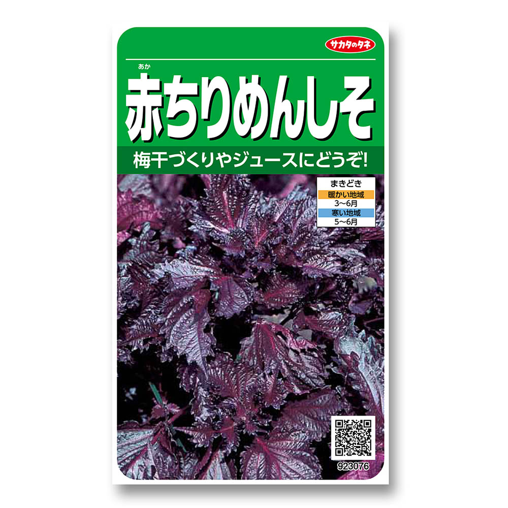 シソ_赤ちりめんしそ　春まき
