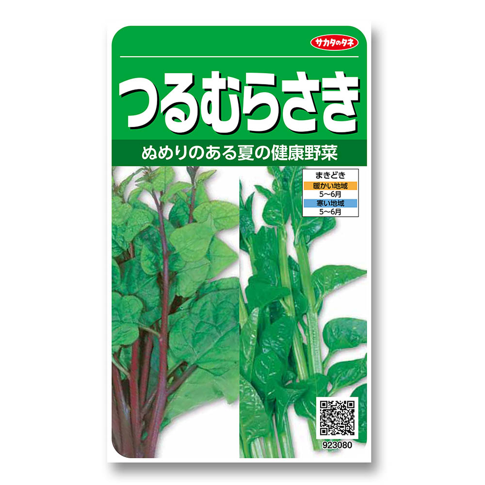 つるむらさき　春まき