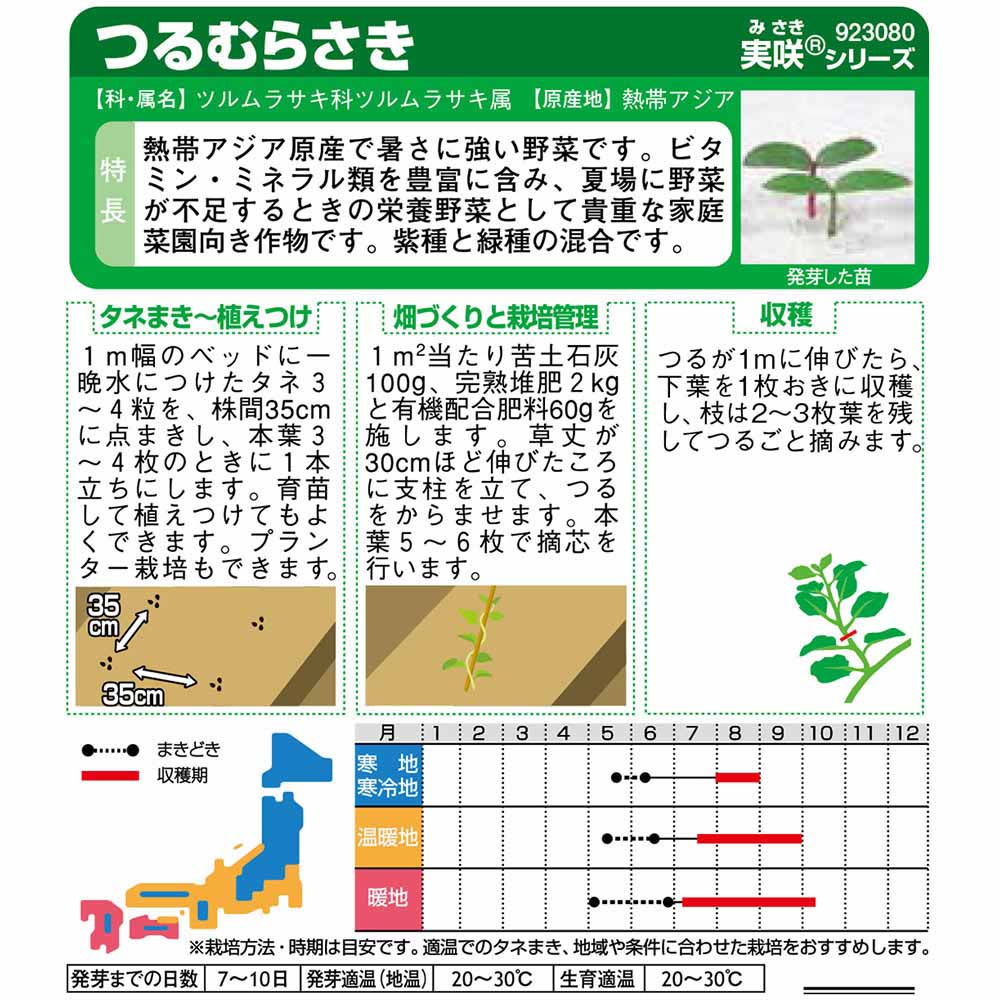 つるむらさき　春まき