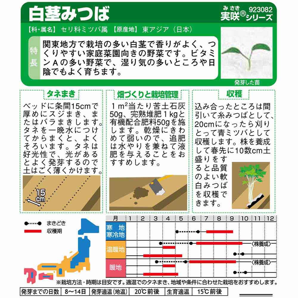 ミツバ_白茎みつば　春秋兼用