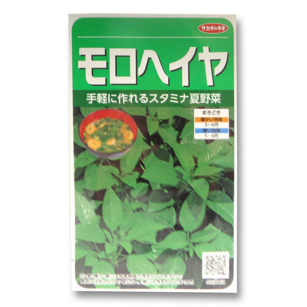 モロヘイヤ　春まき