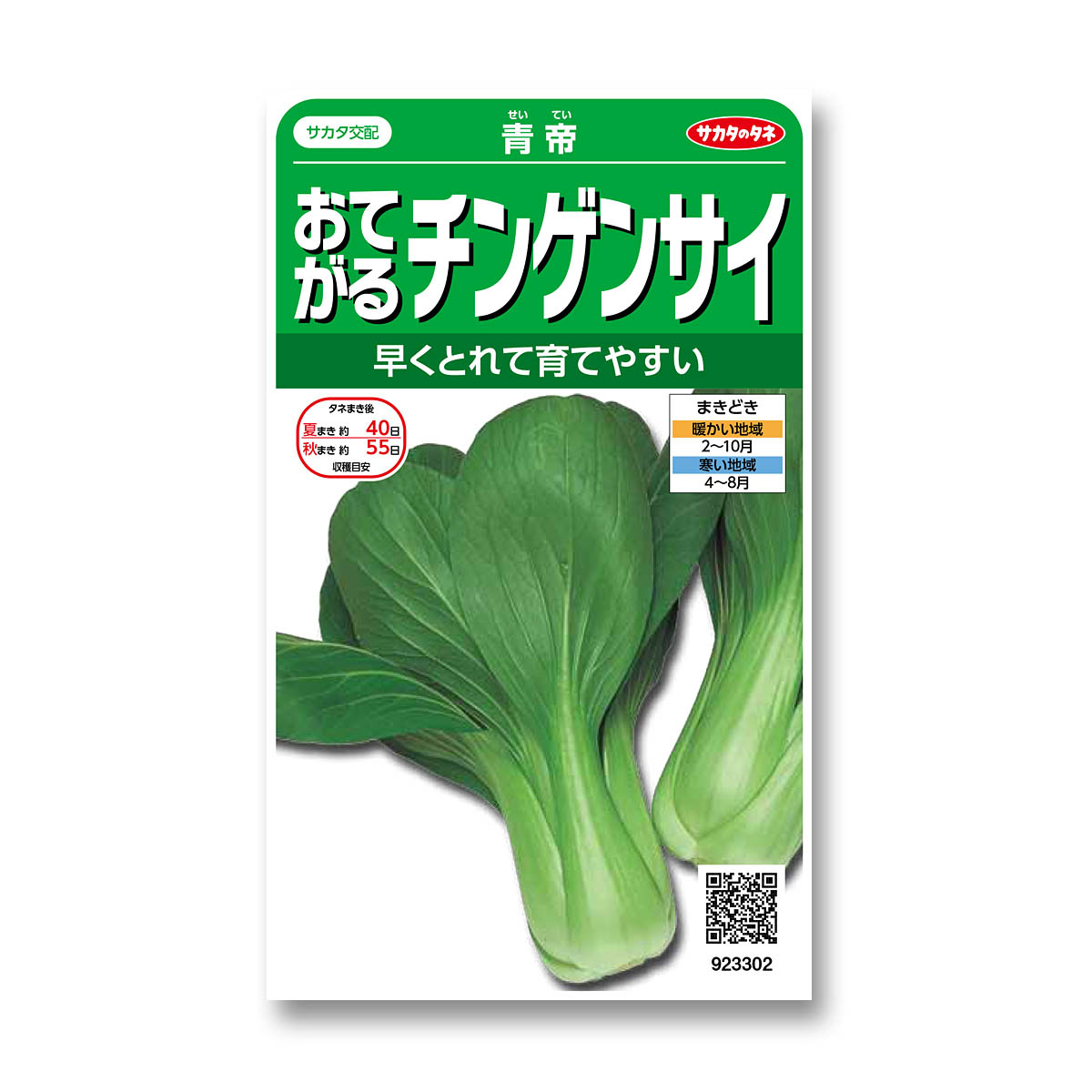 チンゲンサイ_青帝　春秋兼用