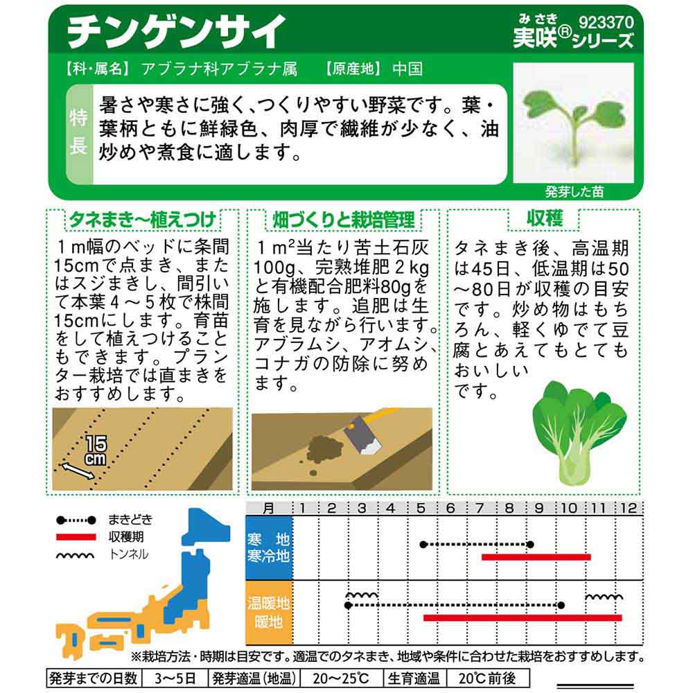 チンゲンサイ_中国野菜　春秋兼用