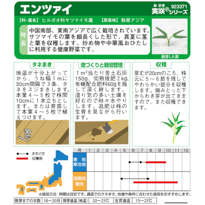 エンツァイ　中国野菜　春秋兼用