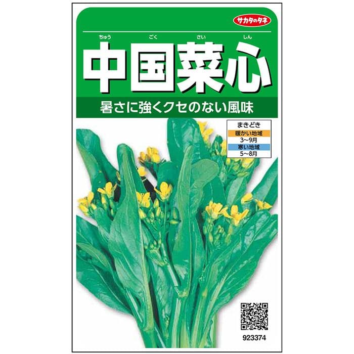 ツケナ＿中国菜心＿中国野菜　春秋兼用