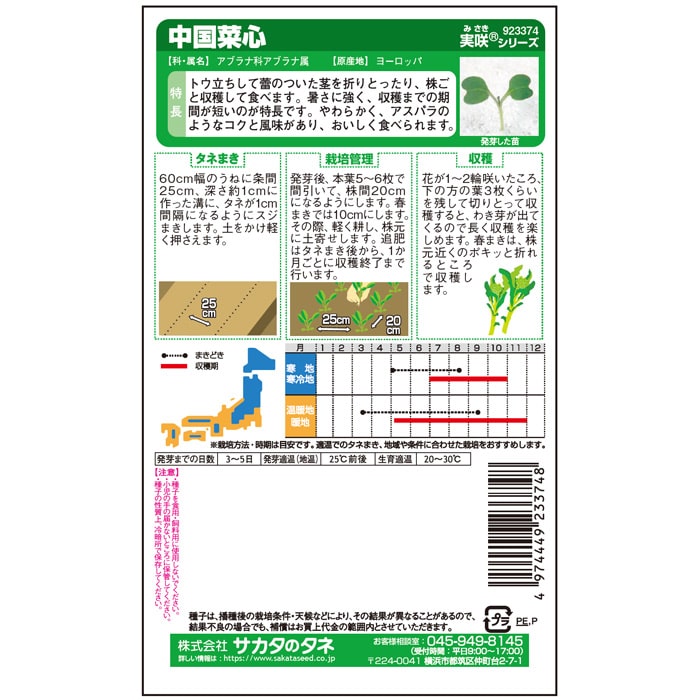 ツケナ＿中国菜心＿中国野菜　春秋兼用