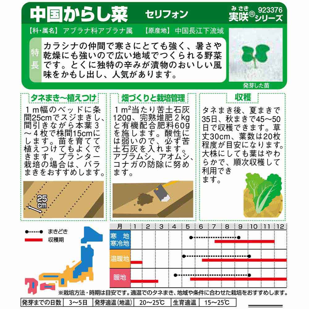 セリフォン_中国野菜　春秋兼用