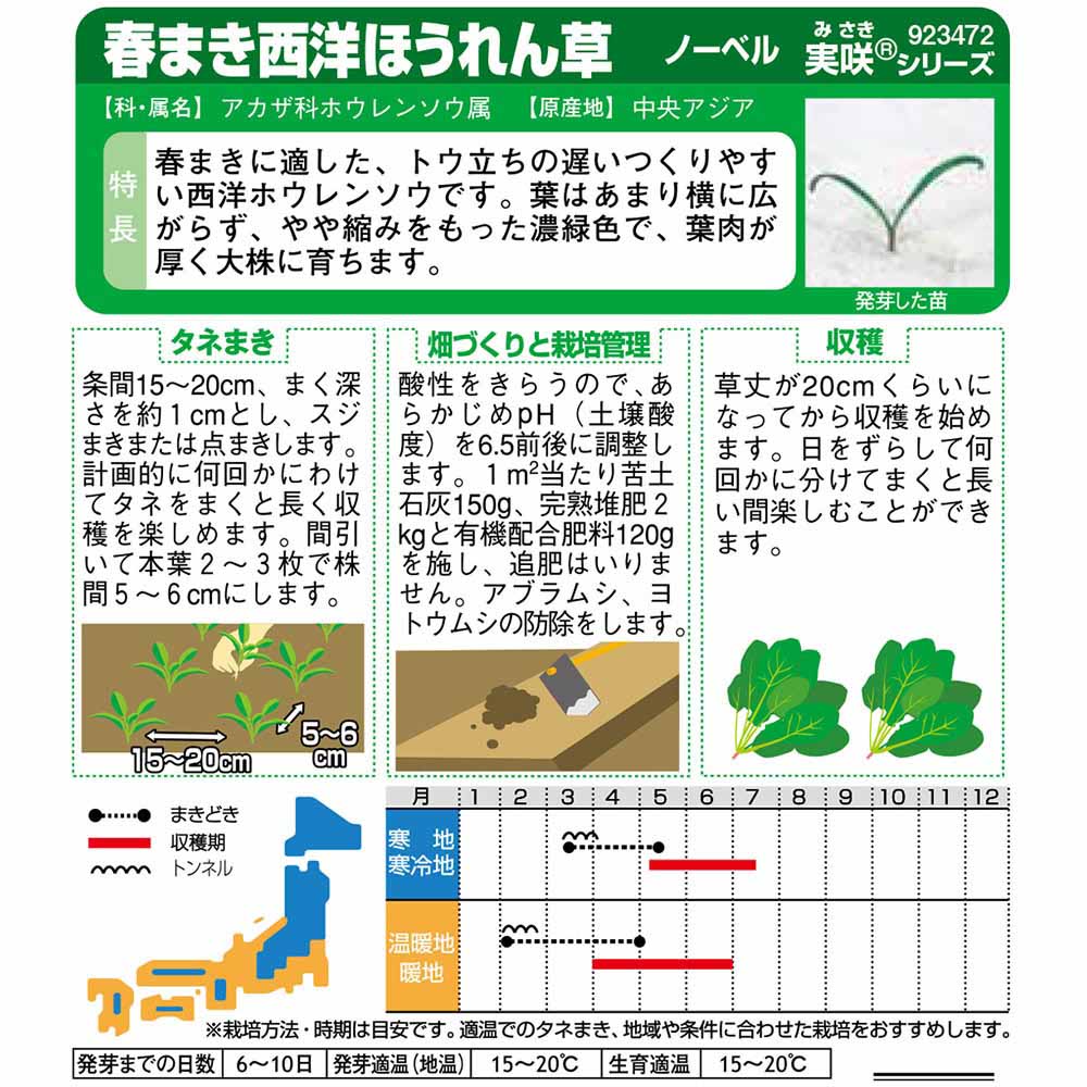 ホウレンソウ_西洋ホウレンソウ_ノーベル　春まき