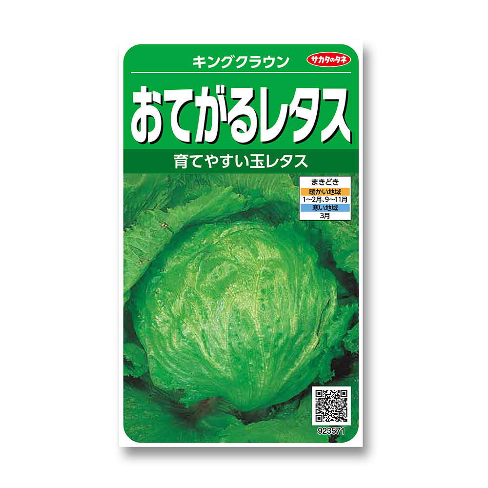 レタス_キングクラウン　春秋兼用