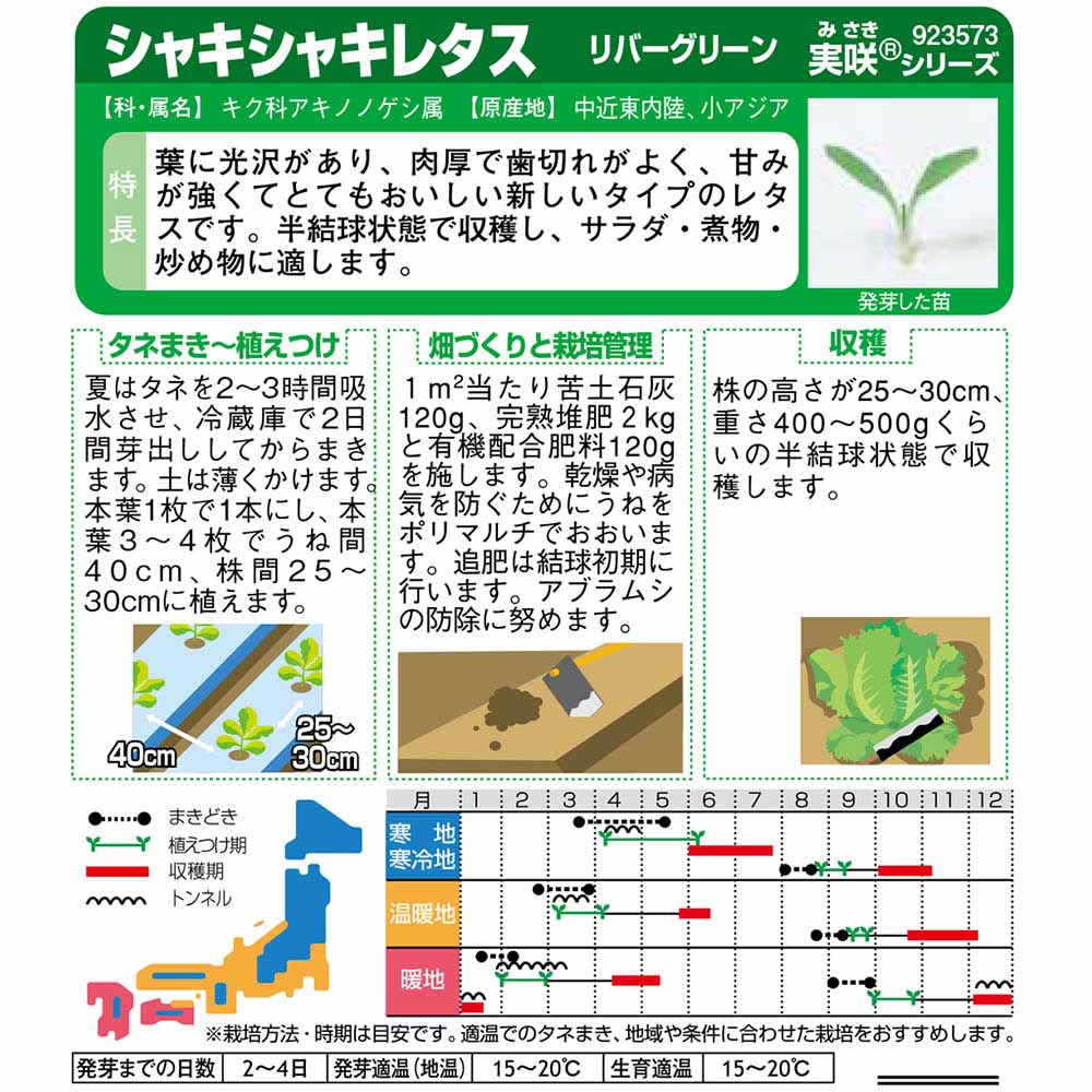 レタス_リバーグリーン　春秋兼用