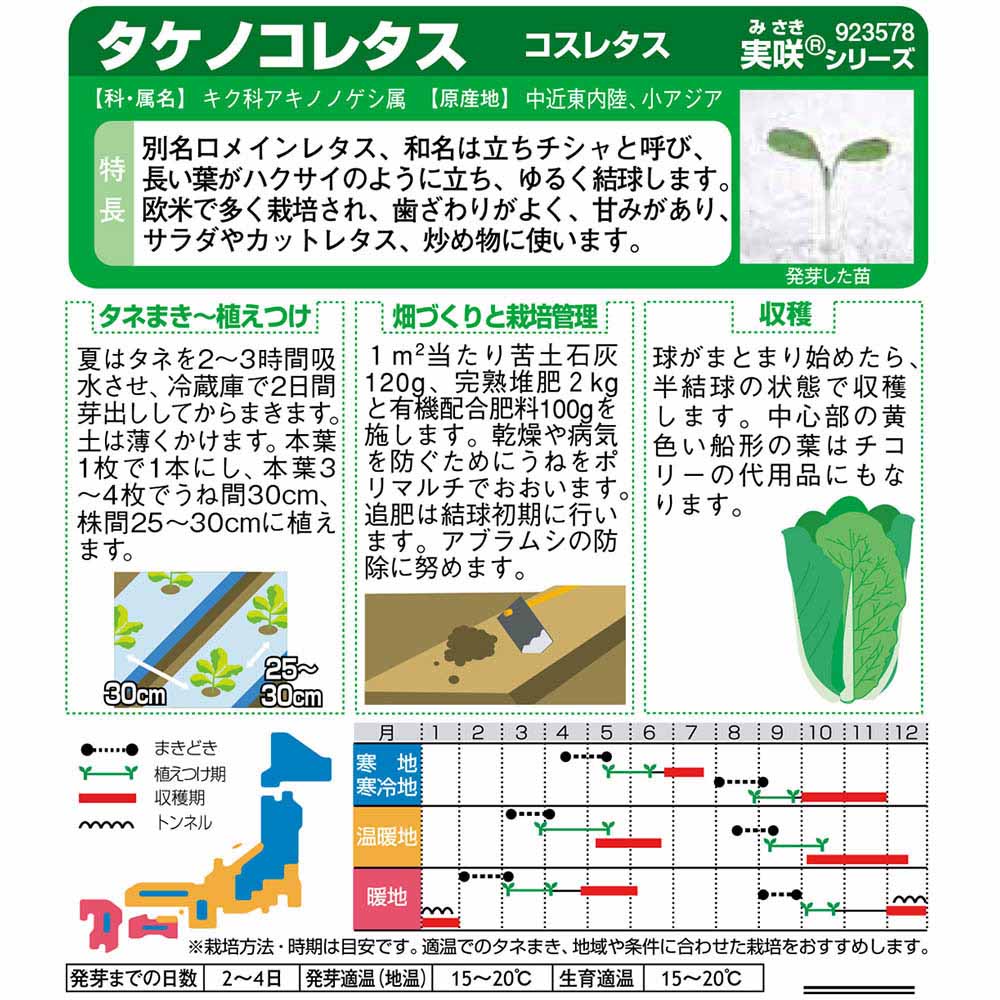 レタス_コスレタス　春秋兼用