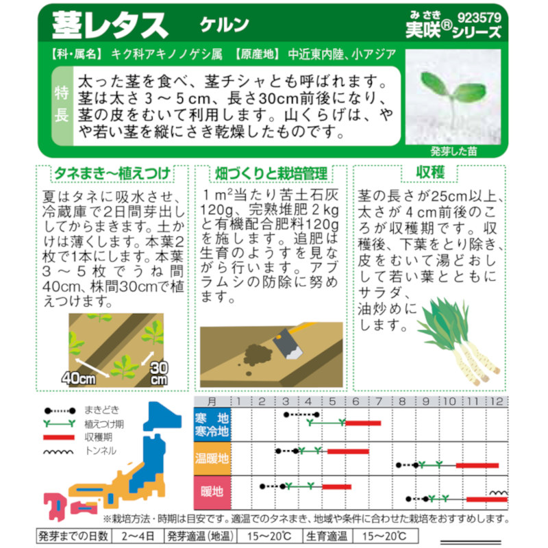 レタス_茎レタス_ケルン　春秋兼用