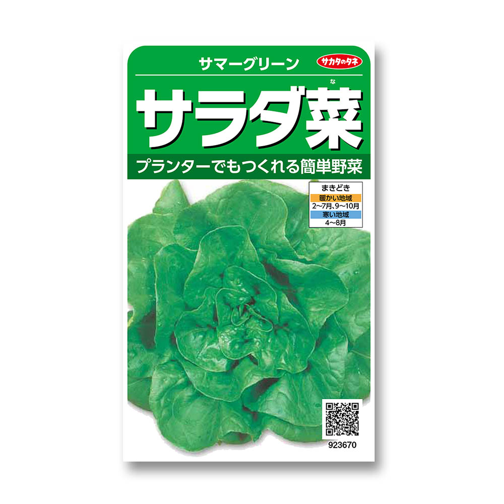 サラダ菜_サマーグリーン　春秋兼用