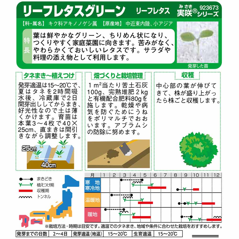 リーフレタス_リーフレタスグリーン　春秋兼用