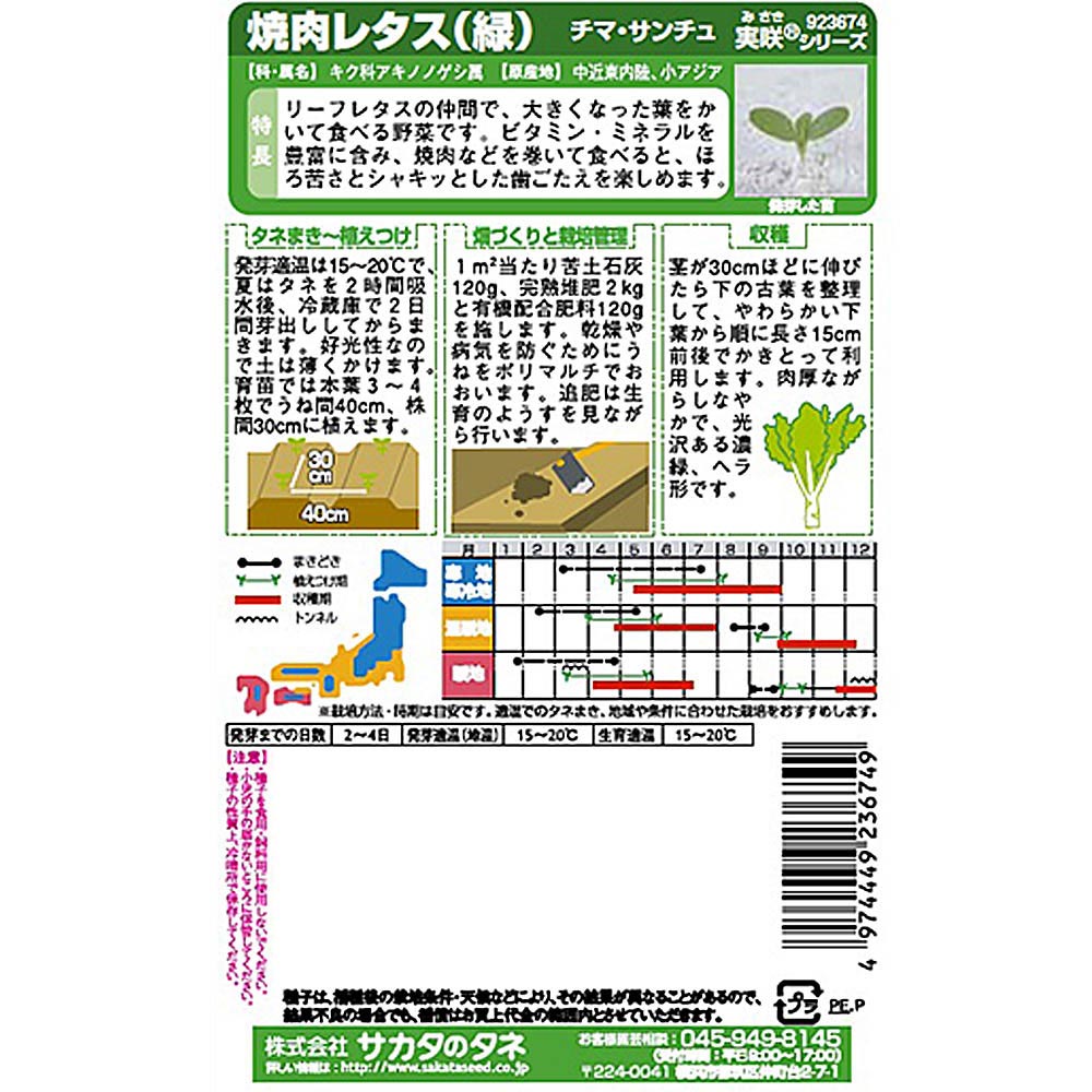 チマ･サンチュ_かきチシャ　春秋兼用