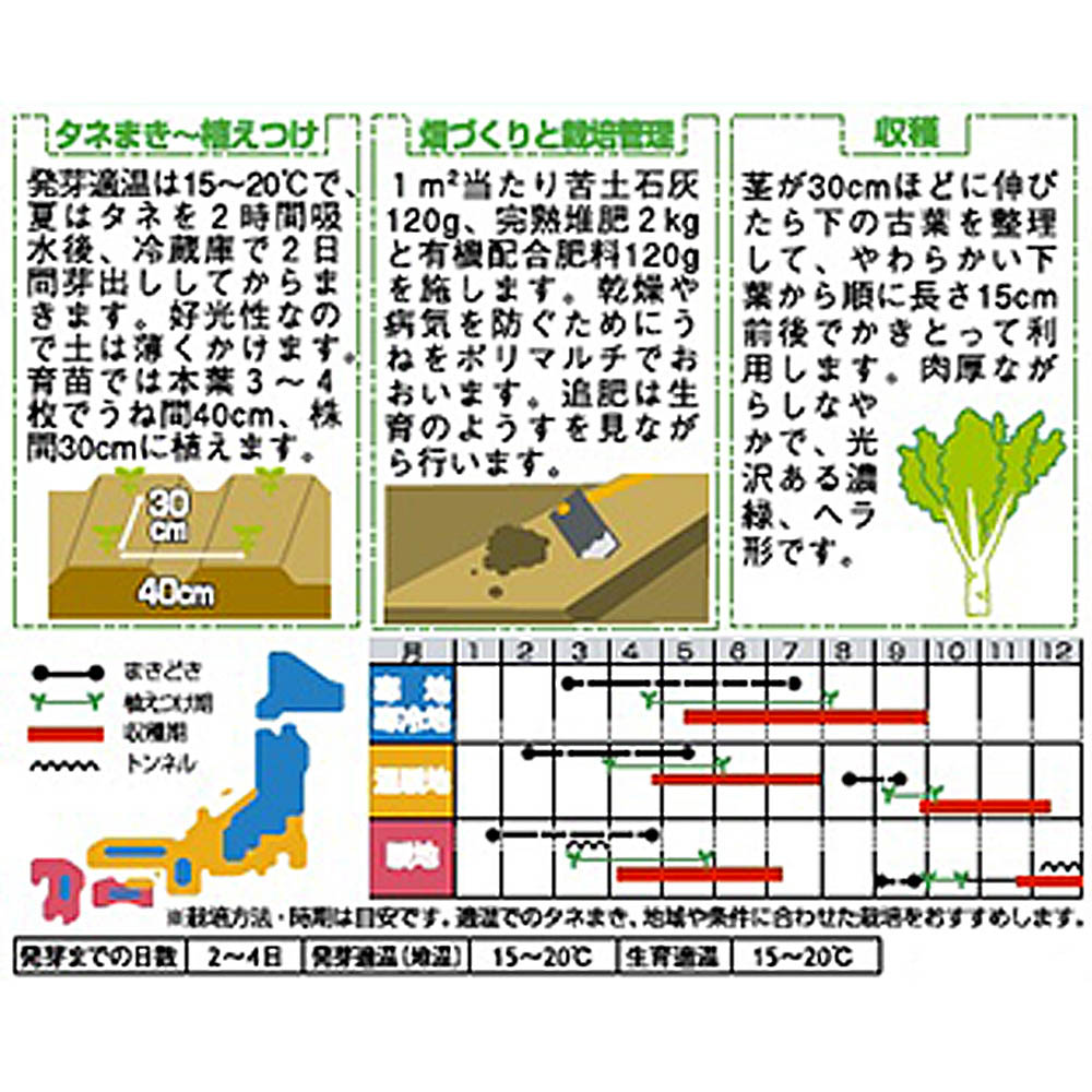 チマ･サンチュ_かきチシャ