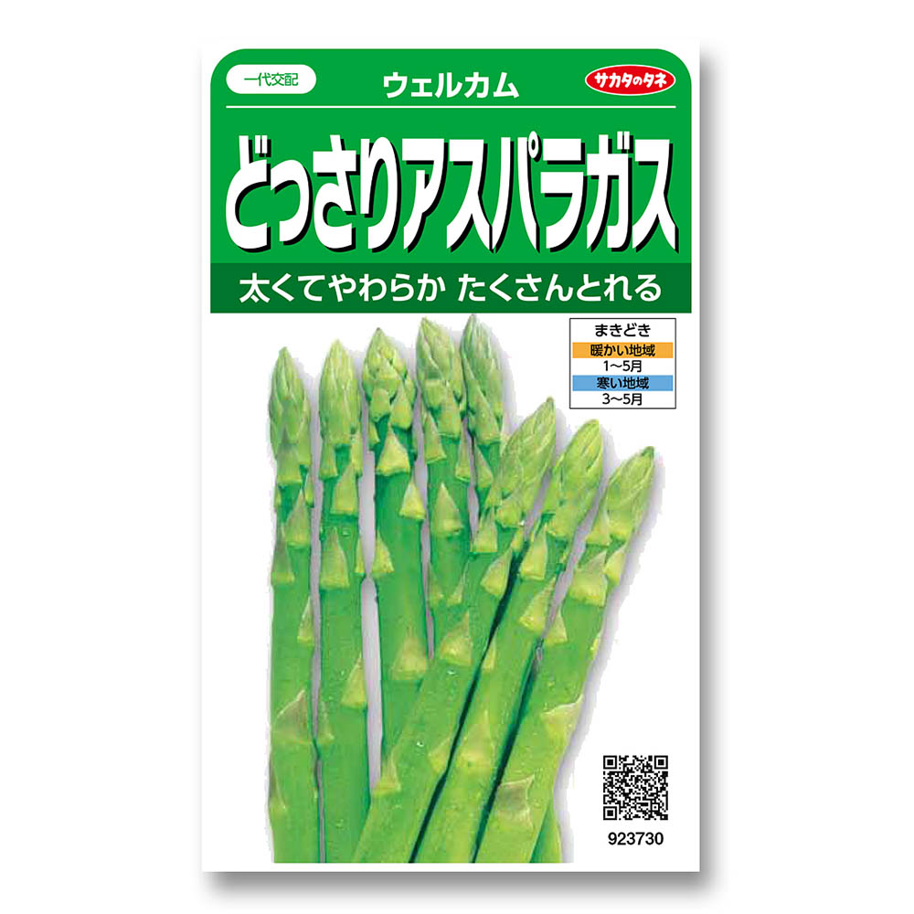 アスパラガス_ウェルカム　春まき
