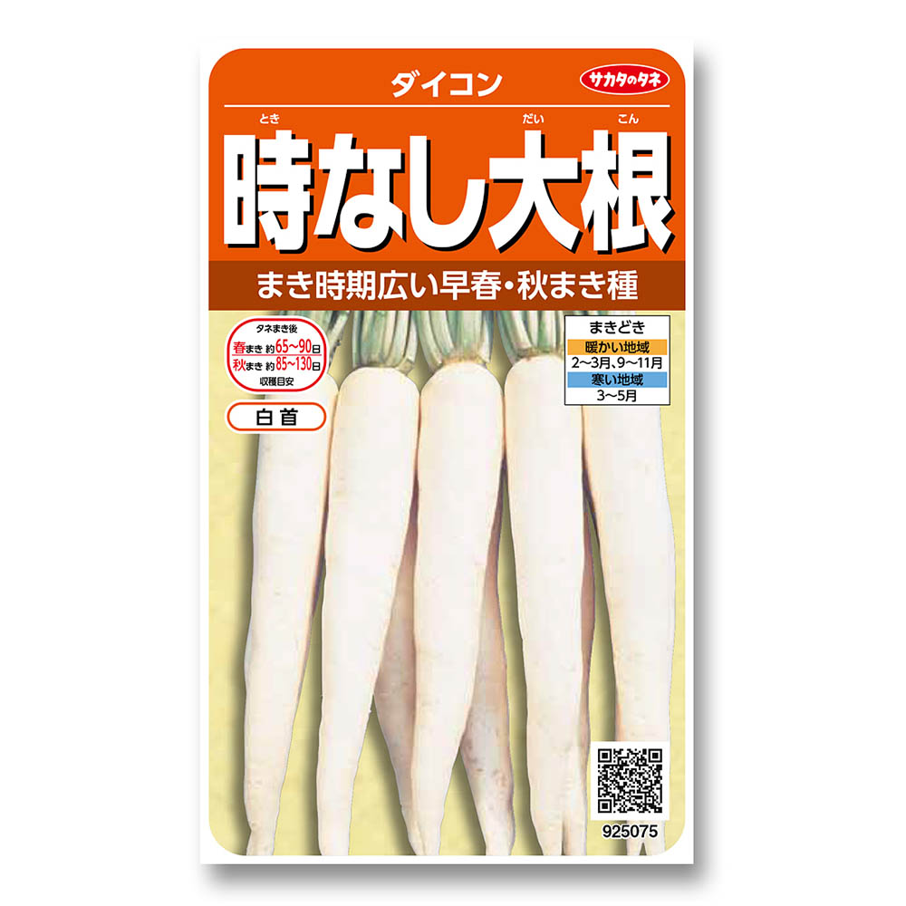 ダイコン_時なし　春秋兼用
