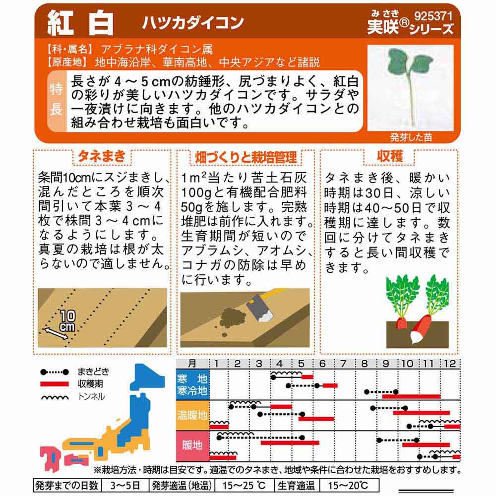 ダイコン_ハツカダイコン_紅白　春秋兼用